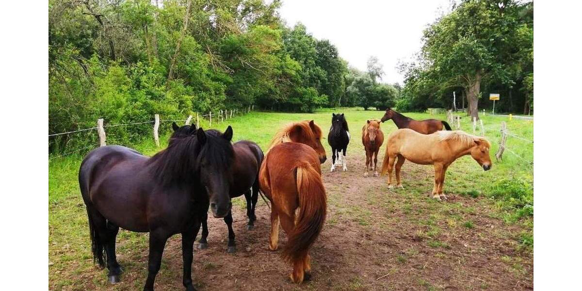 Bungalow Rietz-Neuendorf Görzig - 7 Zimmer, 152 m&sup2;, 250.000&euro; | Angebot:25739965