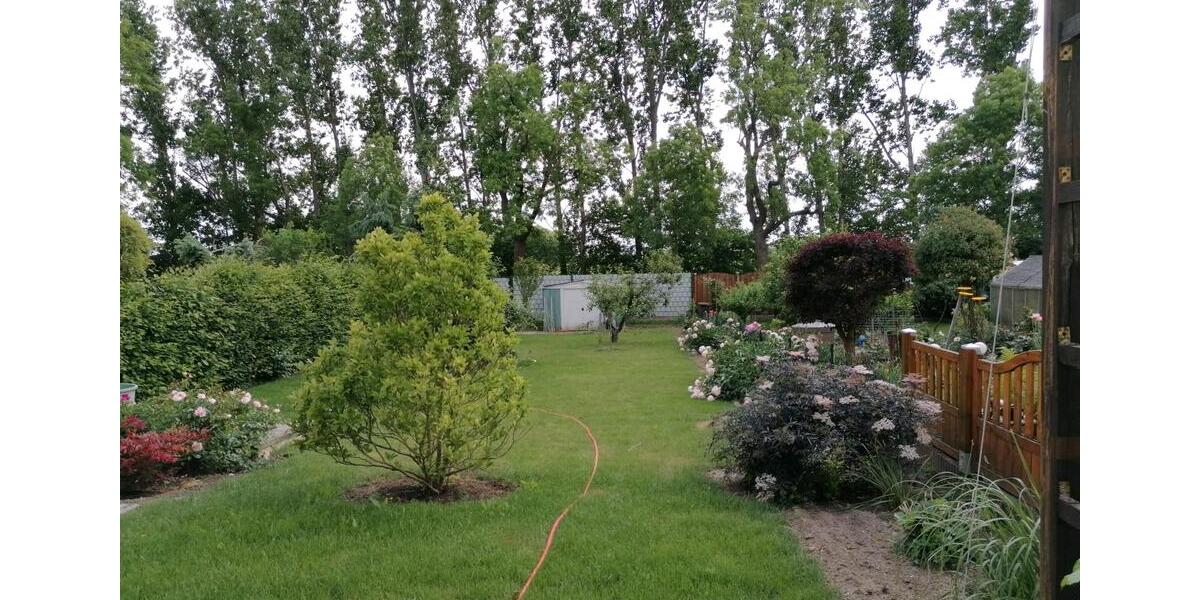 Doppelhaushälfte Frankfurt (Oder) Booßen - 4 Zimmer, 105 m&sup2;, 279.000&euro; | Angebot:24692992