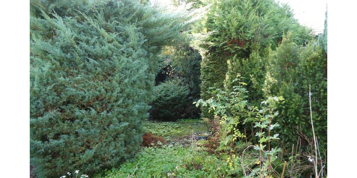 Einfamilienhaus Frankfurt (Oder) Frankfurt - 4 Zimmer, 67 m&sup2;, 100.000&euro; | Angebot:26346636