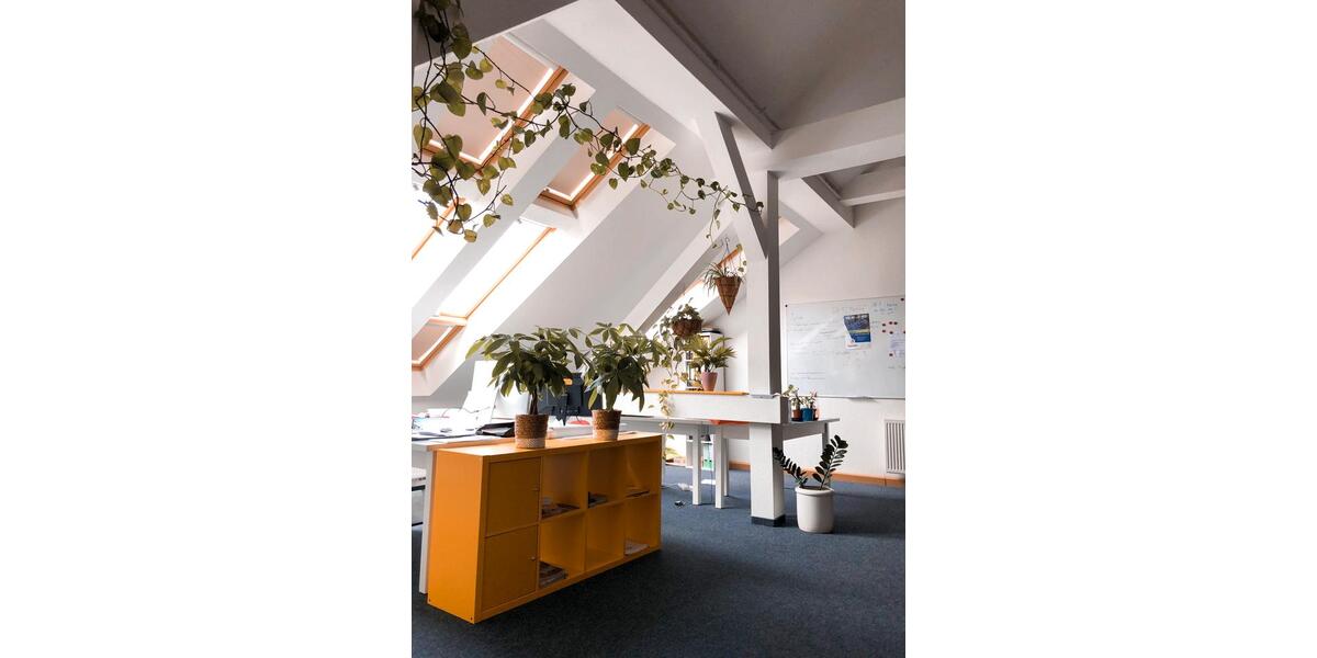 Gewerbeobjekt Frankfurt (Oder) - 79&euro; | Angebot:26640625