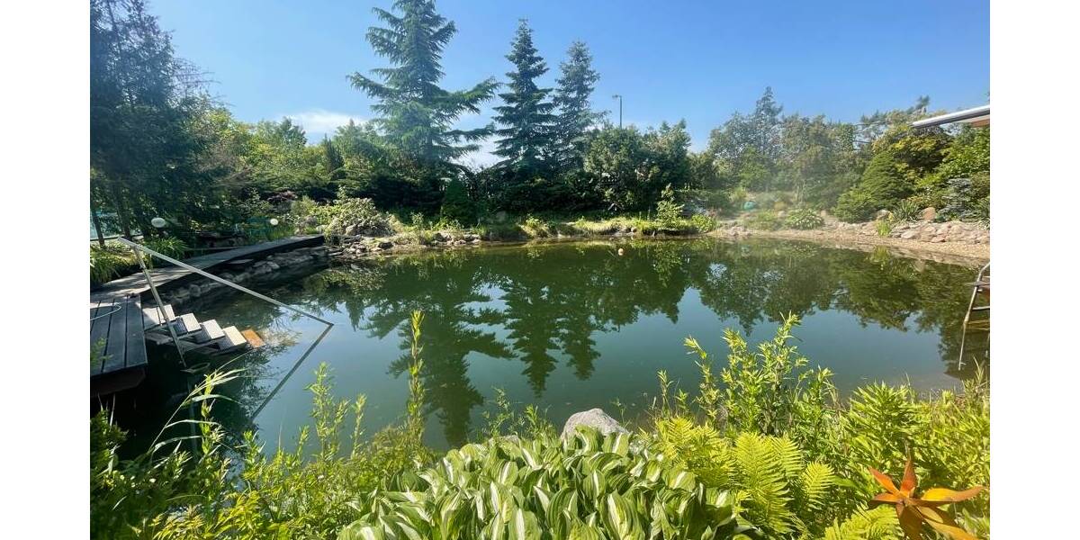 Mehrfamilienhaus, Wohnhaus Frankfurt (Oder) Frankfurt - 510.000&euro; | Angebot:25769170