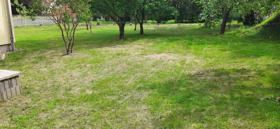 Einfamilienhaus Lebus - 4 Zimmer, 124 m&sup2;, 295.000&euro; | Angebot:25421202