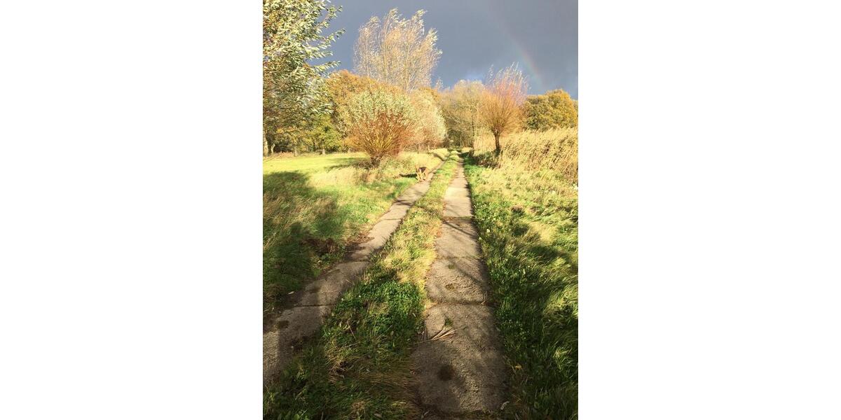 Einfamilienhaus Frankfurt (Oder) - 8 Zimmer, 200 m&sup2;, 650.000&euro; | Angebot:26073127