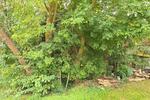 Einfamilienhaus Brieskow-Finkenheerd Finkenheerd - 55.000&euro; | Angebot:26710195