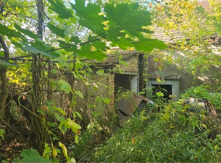 Einfamilienhaus Brieskow-Finkenheerd Finkenheerd - 55.000&euro; | Angebot:26710195