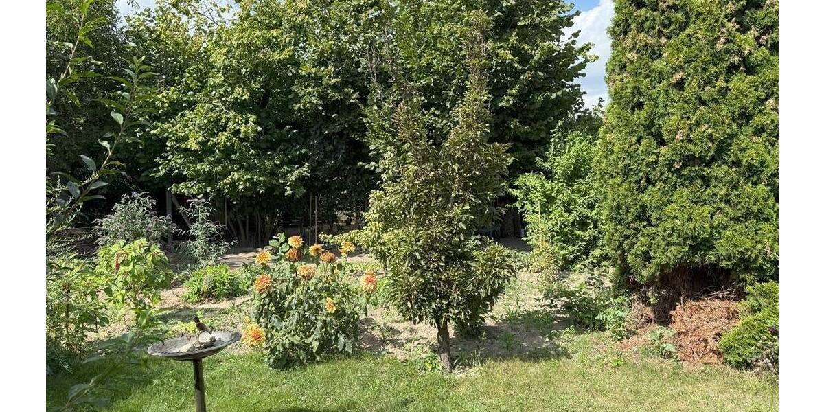 Doppelhaushälfte Seelow - 5 Zimmer, 120 m&sup2;, 298.000&euro; | Angebot:25685808