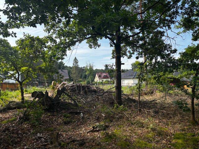 Grundstück Briesen - 130.000&euro; | Angebot:26165293