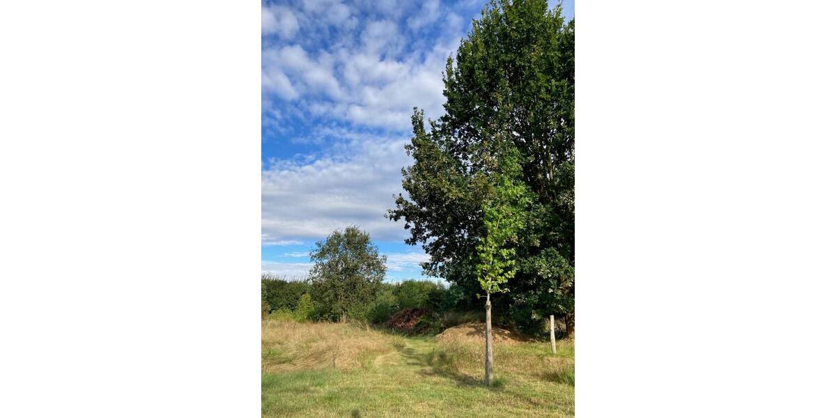 Grundstück Alt Golm / Rietz Neuendorf Alt Golm - 151.000&euro; | Angebot:25671807