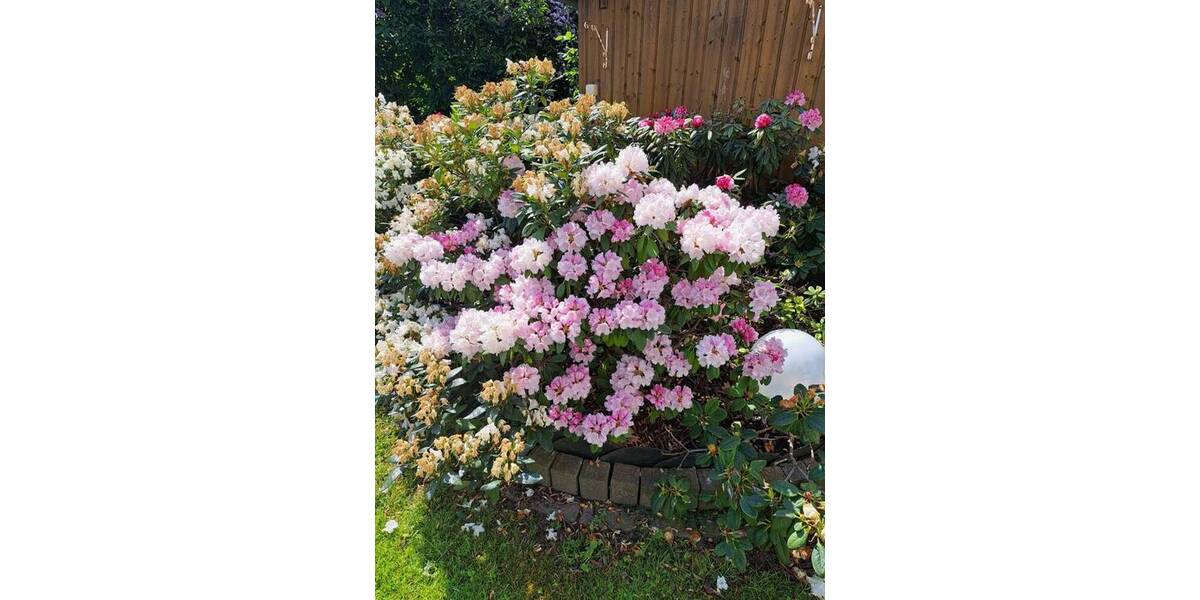 Mehrfamilienhaus, Wohnhaus Frankfurt (Oder) Frankfurt - 510.000&euro; | Angebot:25769170