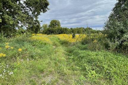 Grundstück Briesen (Mark) Briesen - 1.288.800&euro; | Angebot:25661541