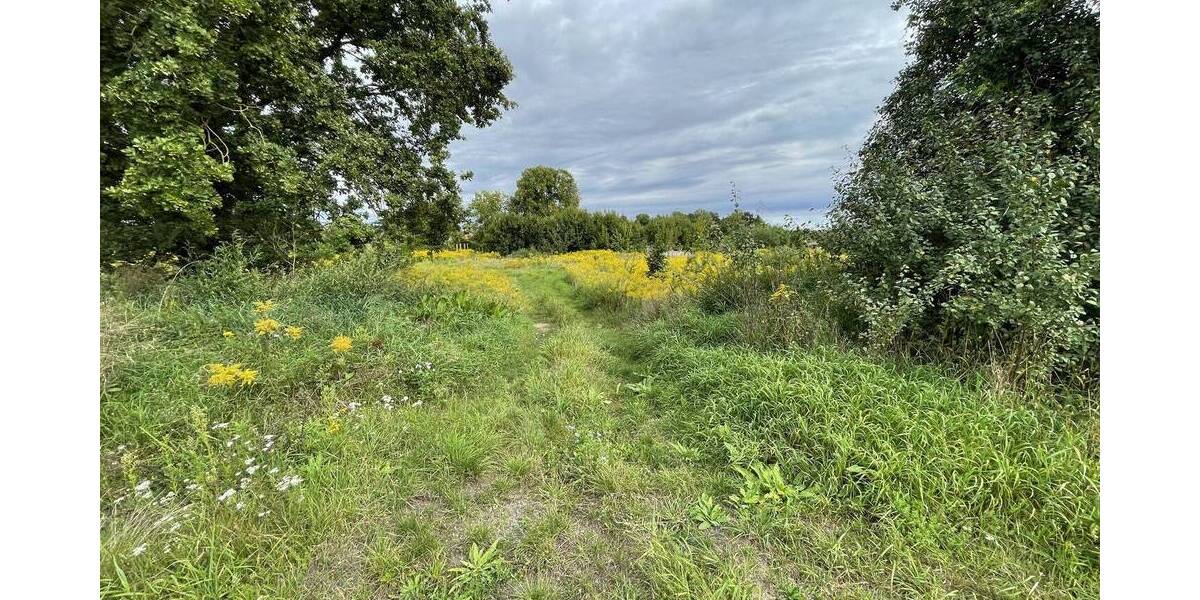 Grundstück Briesen (Mark) Briesen - 1.288.800&euro; | Angebot:25661541