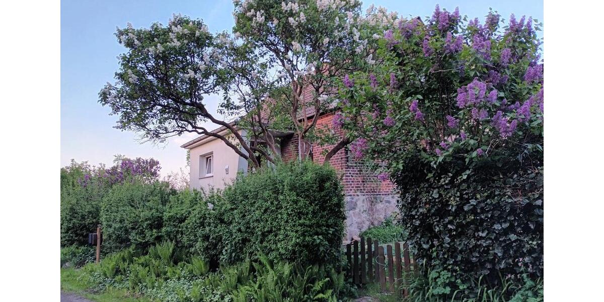 Einfamilienhaus Neuzelle - 3 Zimmer, 63 m&sup2;, 99.000&euro; | Angebot:26677581