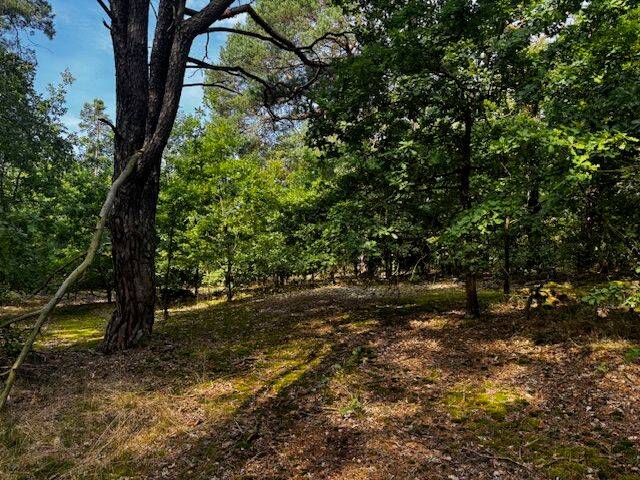 Grundstück Briesen - 130.000&euro; | Angebot:26165293