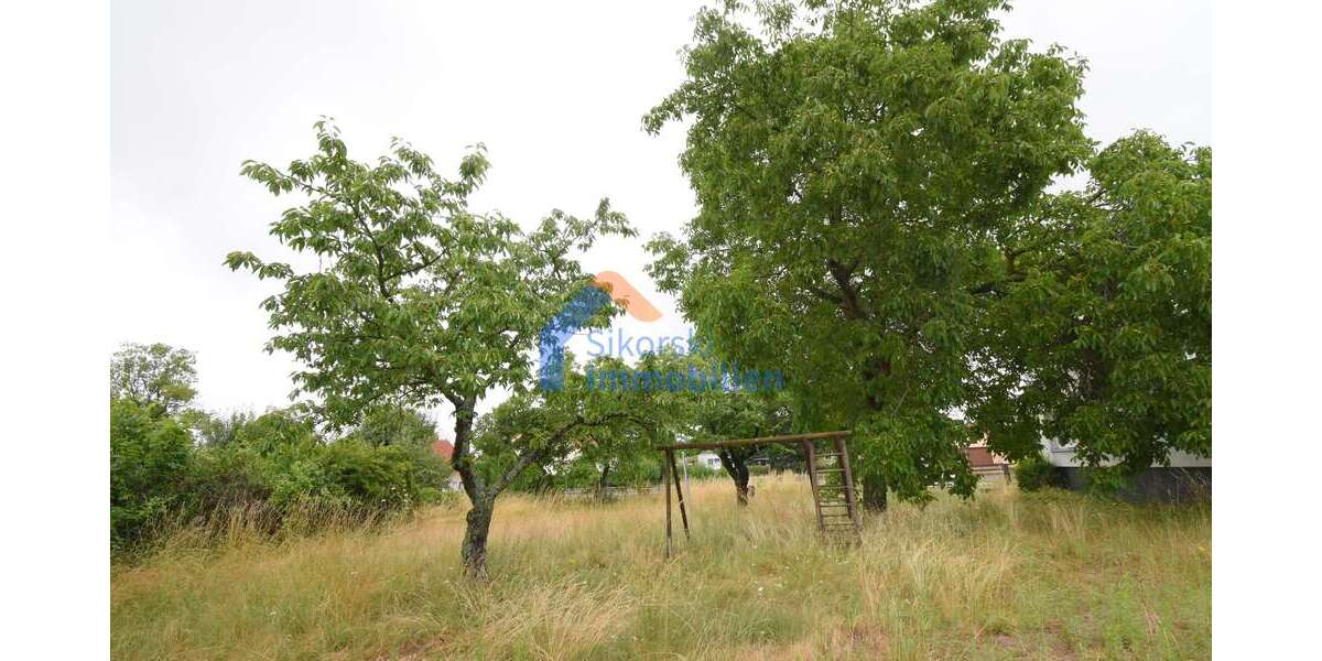 Grundstück Fünfeichen Fünfeichen - 50.000&euro; | Angebot:22507469