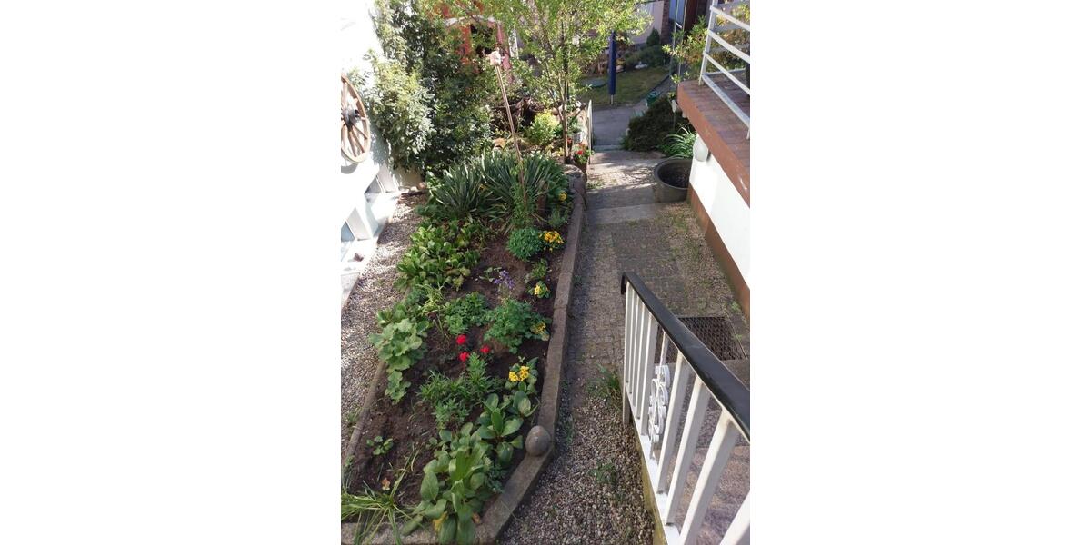 Reihenhaus Eisenhüttenstadt - 4 Zimmer, 100 m&sup2;, 135.000&euro; | Angebot:25856062