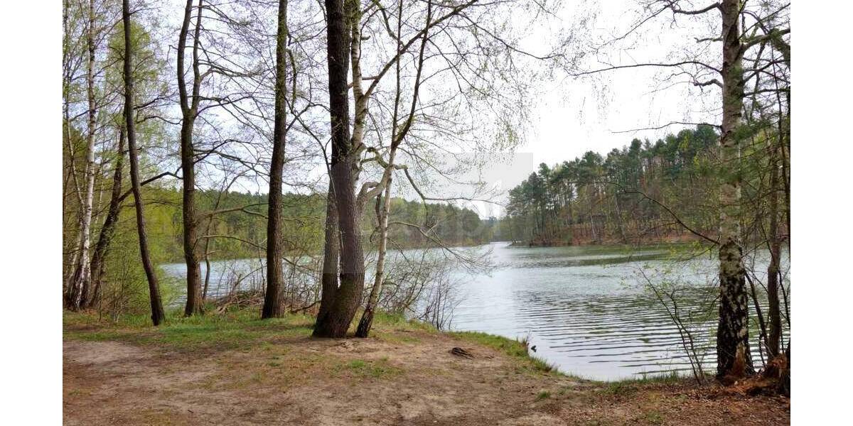 Grundstück Schernsdorf Schernsdorf - 50.000&euro; | Angebot:26093077