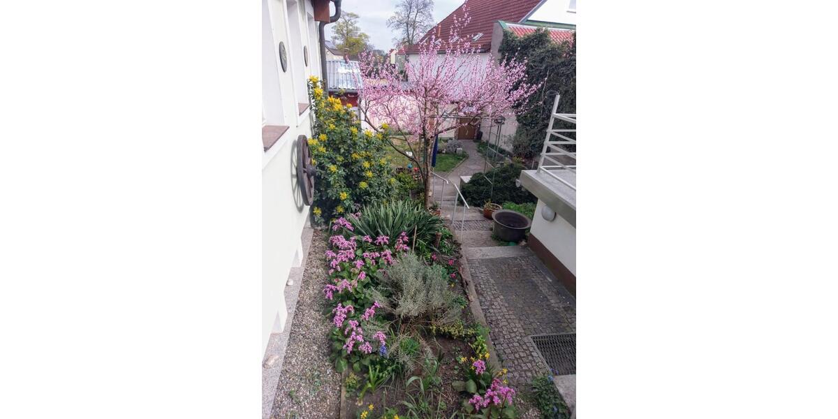 Reihenhaus Eisenhüttenstadt - 4 Zimmer, 100 m&sup2;, 135.000&euro; | Angebot:25856062