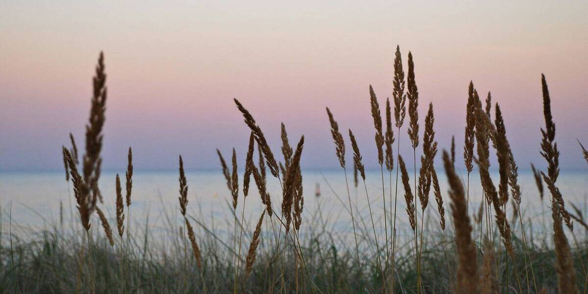 Etagenwohnung Müllrose - 2 Zimmer, 59 m&sup2;, 235.900&euro; | Angebot:25957951