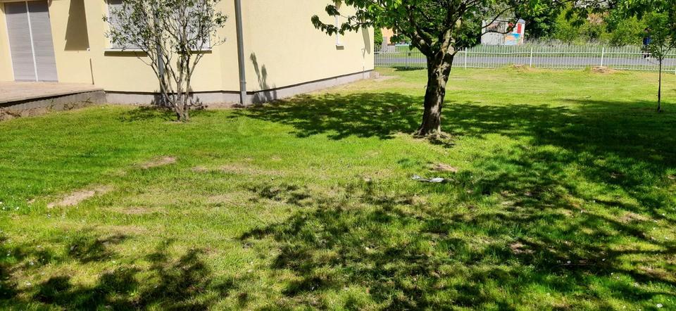 Einfamilienhaus Lebus - 4 Zimmer, 124 m&sup2;, 295.000&euro; | Angebot:26511647