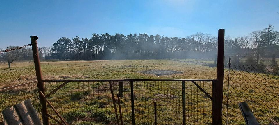 Doppelhaushälfte Seelow - 4 Zimmer, 130 m&sup2;, 130.000&euro; | Angebot:25377486