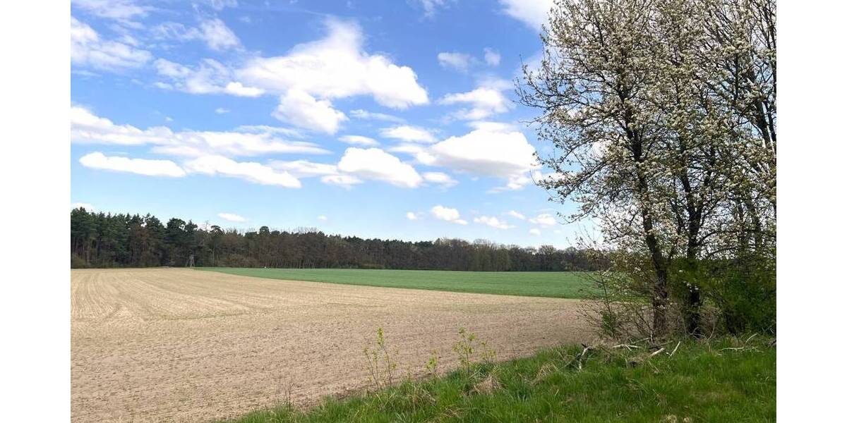 Grundstück Alt Golm / Rietz Neuendorf Alt Golm - 151.000&euro; | Angebot:25671807