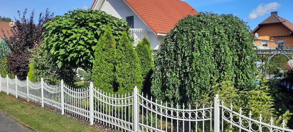 Einfamilienhaus Eisenhüttenstadt - 4 Zimmer, 150 m&sup2;, 300.000&euro; | Angebot:25613213