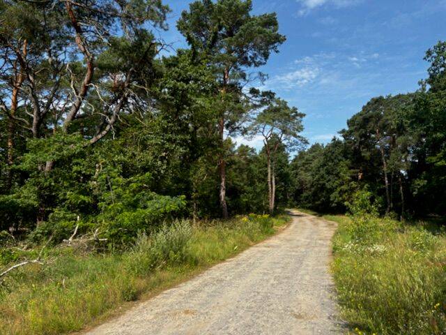 Grundstück Briesen - 130.000&euro; | Angebot:26165293