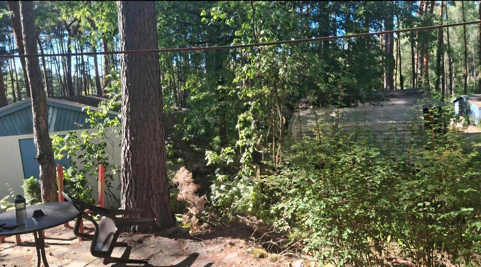 Bungalow Eisenhüttenstadt - 4 Zimmer, 42 m&sup2;, 12.900&euro; | Angebot:24525349