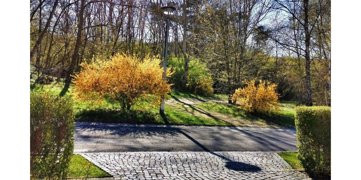 Doppelhaushälfte Eisenhüttenstadt - 4 Zimmer, 141 m&sup2;, 395.000&euro; | Angebot:26706884