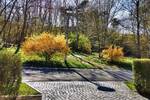 Doppelhaushälfte Eisenhüttenstadt - 4 Zimmer, 141 m&sup2;, 395.000&euro; | Angebot:26706884