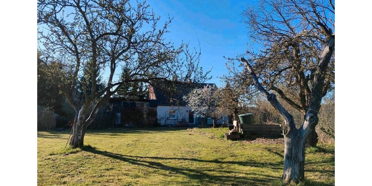 Einfamilienhaus Neuzelle - 3 Zimmer, 63 m&sup2;, 99.000&euro; | Angebot:26677581