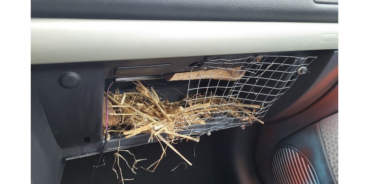 Renault Clio 260.654 km 1.250 &euro; Seelow 15306