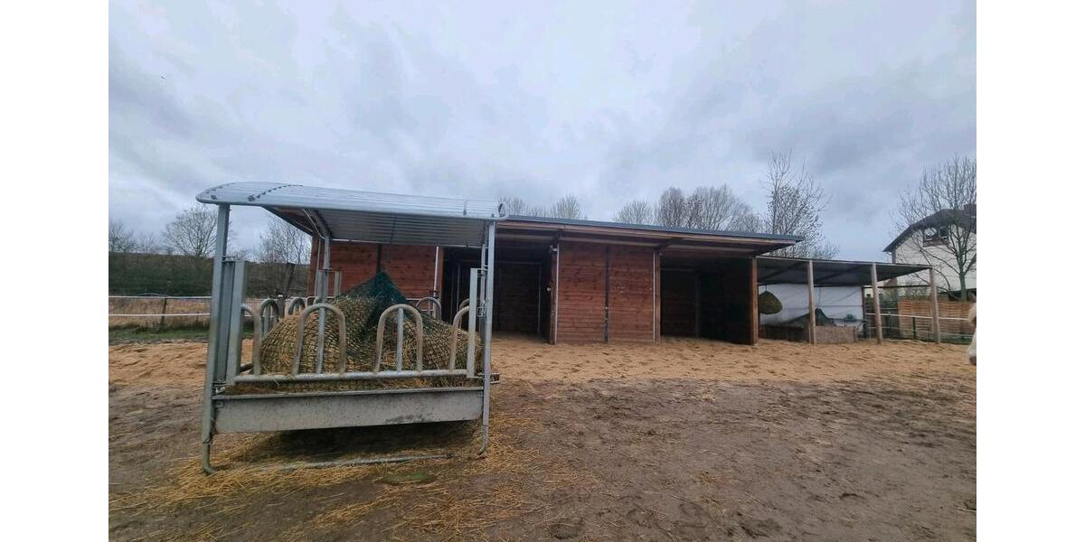 Einfamilienhaus Seelow - 3 Zimmer, 92 m&sup2;, 480.000&euro; | Angebot:24100177