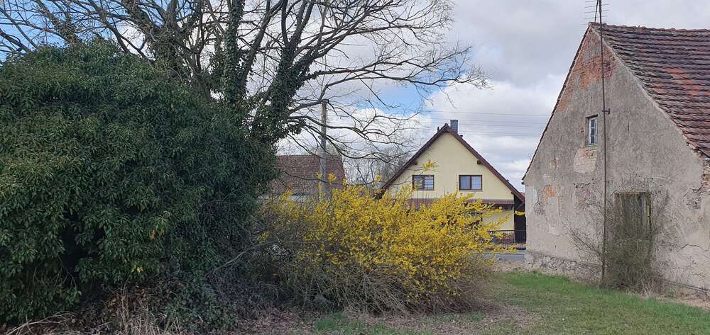 Grundstück Gem. Briesen/OT Biegen OT Biegen - 63.000&euro; | Angebot:26002158