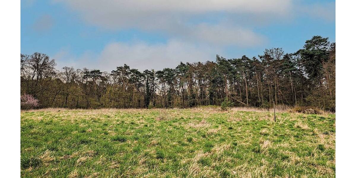 Grundstück Steinhöfel - 7.500&euro; | Angebot:26210845