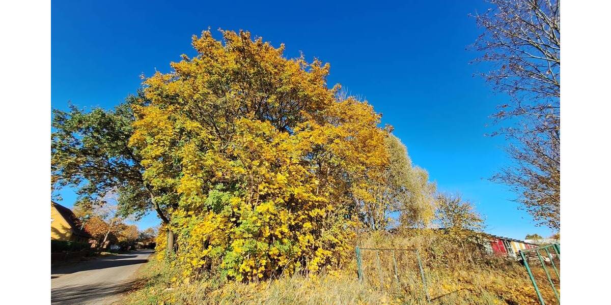 Grundstück Rietz-Neuendorf / Pfaffendorf Pfaffendorf - 75.400&euro; | Angebot:25726023