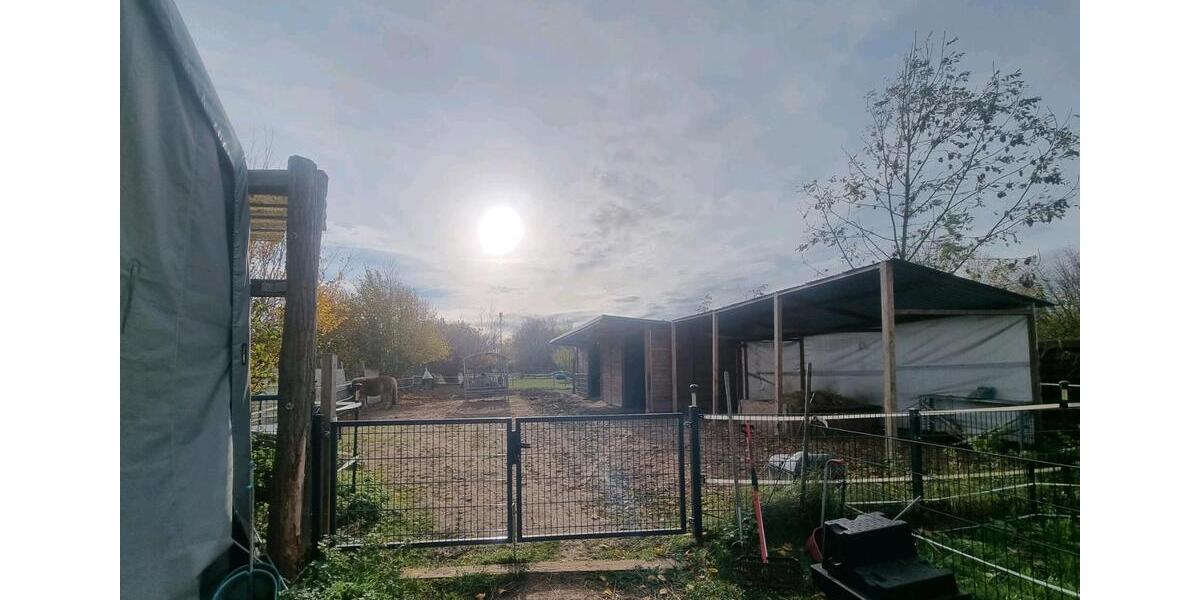 Einfamilienhaus Seelow - 3 Zimmer, 92 m&sup2;, 480.000&euro; | Angebot:24100177