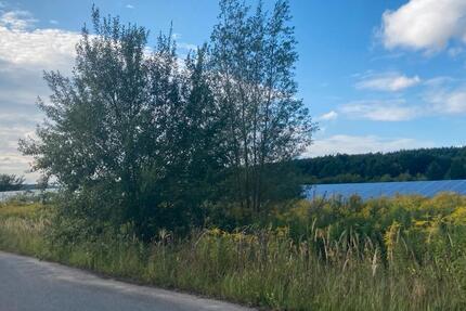 Gewerbeobjekt Steinhöfel - 750&euro; | Angebot:22532286