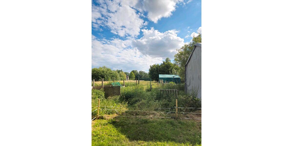 Einfamilienhaus Seelow - 3 Zimmer, 92 m&sup2;, 480.000&euro; | Angebot:25056266