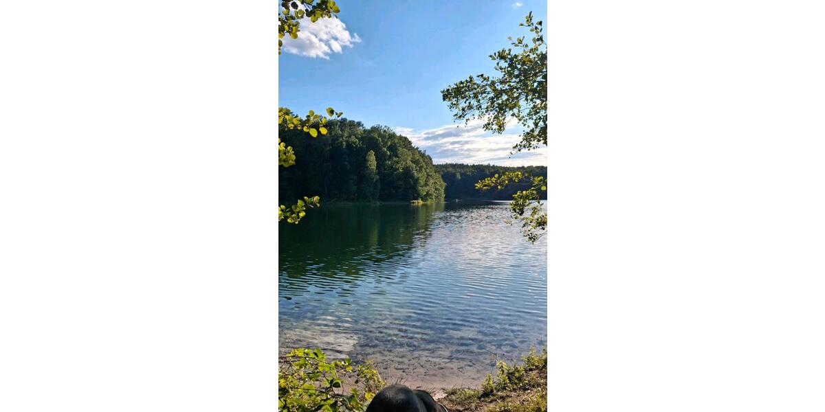 Bungalow Eisenhüttenstadt - 4 Zimmer, 42 m&sup2;, 12.900&euro; | Angebot:24525349