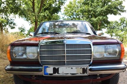 Mercedes-Benz 230 149.000 km 8.500 &euro; Briesen (Mark) 15518