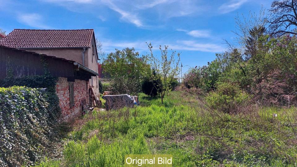 Einfamilienhaus Küstriner Vorland - 6 Zimmer, 200 m&sup2;, 199.000&euro; | Angebot:25852378