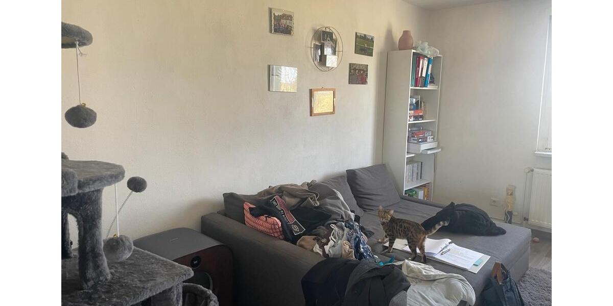 Etagenwohnung Beeskow - 2 Zimmer, 48 m&sup2;, 512&euro; | Angebot:25751082