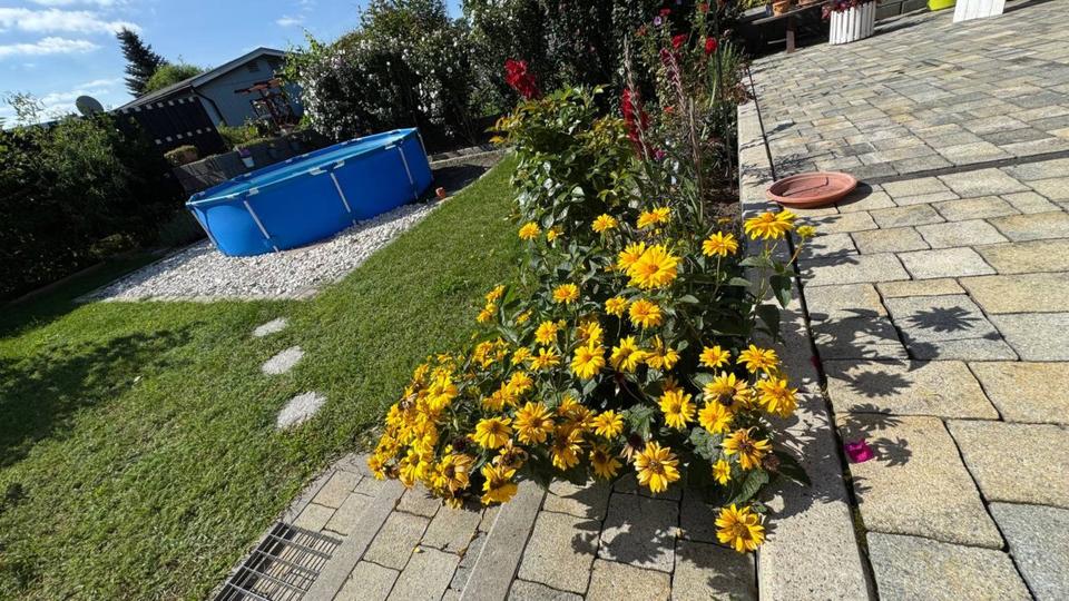 Einfamilienhaus Eisenhüttenstadt - 390.000&euro; | Angebot:25793150