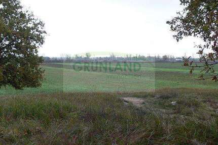 Grundstück Eisenhüttenstadt - 650.000&euro; | Angebot:20707158