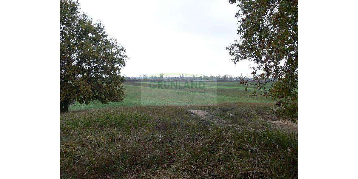 Grundstück Eisenhüttenstadt - 650.000&euro; | Angebot:20707158