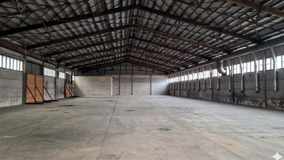 Gewerbeobjekt Beeskow - 540&euro; | Angebot:26235095