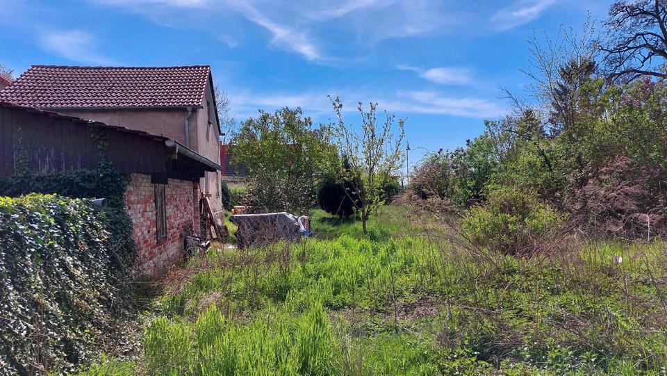 Einfamilienhaus Küstriner Vorland - 6 Zimmer, 200 m&sup2;, 169.000&euro; | Angebot:26614079