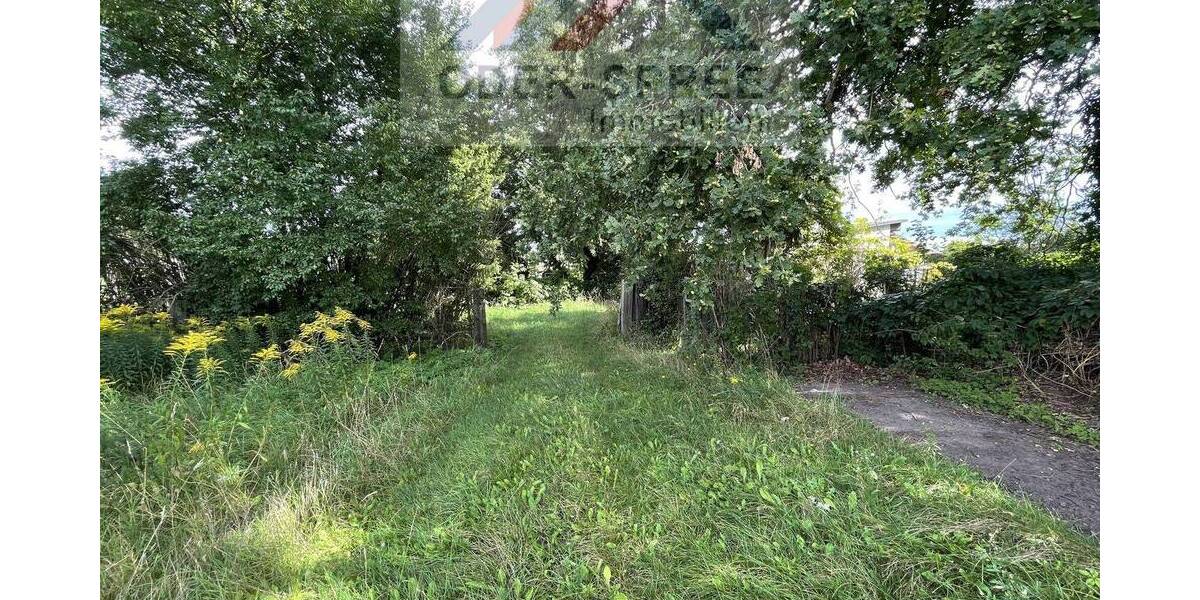 Grundstück Briesen (Mark) Briesen - 1.288.800&euro; | Angebot:25661541