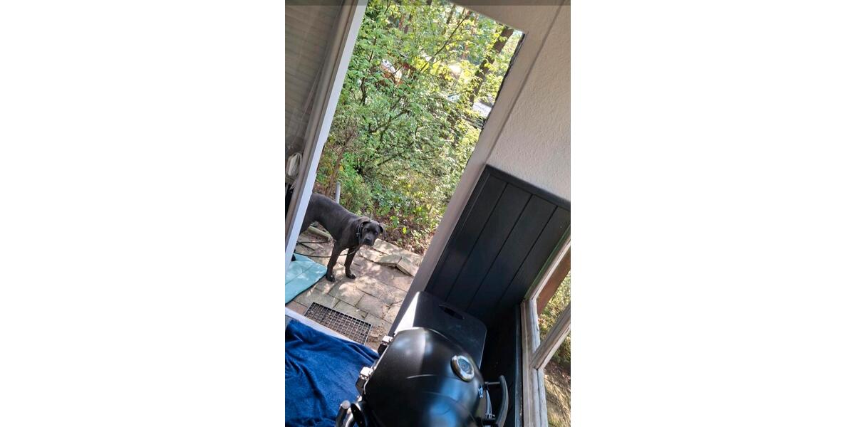 Bungalow Eisenhüttenstadt - 4 Zimmer, 42 m&sup2;, 12.900&euro; | Angebot:24525349